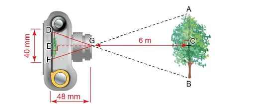 Schéma appareil photo et arbre Schéma d'un appareil photo de 40 mm de hauteur et 48 mm de profondeur visant un arbre AB situé à 6 m — exercice de maths en 4ème, triangles semblables