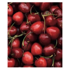 Photo de cerises rouges Photographie d^{\prime}un tas de cerises rouges avec leurs queues, vendues 5 euros le kilo — exercice de maths en 3ème sur les fonctions linéaires