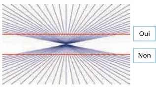 Illusion d’optique droites rouges 1 Faisceau de droites bleues convergentes en un point avec deux droites rouges horizontales, illusion d’optique — exercice de maths en CM1 sur les droites parallèles