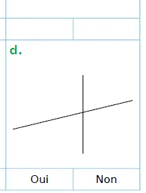 Figure d verticale et droite inclinée Figure d : une droite verticale et une droite légèrement inclinée qui se croisent — exercice de maths en CM1 sur les droites perpendiculaires