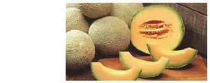 Melons entiers et tranches Melons entiers et tranches de melon orange sur une table — exercice de maths en CM2 sur les opérations et la production de melons