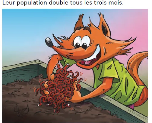Renard Zolan et lombrics Zolan, un renard orange souriant, plonge les mains dans un lombricomposteur rempli de vers — exercice de maths en CM2 sur la résolution de problèmes sur le doublement d'une population