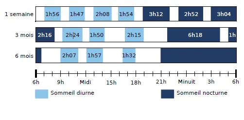 Relevés du sommeil de Ruby Frises horaires du sommeil de Ruby à 1 semaine, 3 mois et 6 mois, avec sommeil diurne et nocturne — exercice de maths en CM2 sur les durées