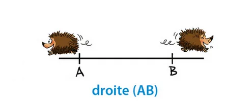Droite (AB) avec deux hérissons Deux hérissons courant sur la droite (AB) qui passe par A et B — exercice de maths en 6ème sur segments, droites et constructions