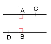 Droites (AC), (BD) et (AB) Deux droites (AC) et (BD) perpendiculaires à (AB) avec deux angles droits codés — exercice de maths en 6ème sur segments, droites et constructions