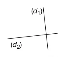 Figure 1 : droites d1 et d2 Figure 1 : deux droites d1 et d2 qui se coupent sans codage d’angle droit — exercice de maths en 6ème sur segments, droites et constructions