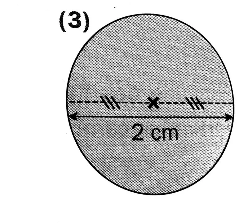 Figure 3 disque de 2 cm Figure 3 : disque de diamètre 2 cm avec son centre marqué — exercice de maths en 6ème sur périmètres et aires