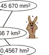 Doutsi, l'animal Doutsi, petit animal brun aux grandes oreilles qui attend à l'arrivée — exercice de maths en 6ème sur la conversion d'unités d'aires
