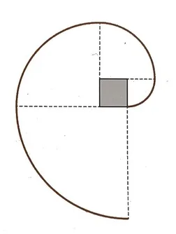 Spirale autour d'un carré Spirale construite à partir d'un petit carré gris avec des quarts de cercle — exercice de maths en 6ème sur la longueur d'une spirale de quarts de cercle
