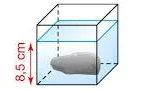 Cube avec le caillou immergé Cube transparent dont l'eau monte à 8,5 cm après l'immersion d'un caillou gris, exercice de volumes en 6ème