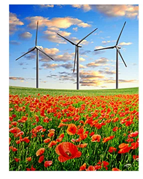 Éoliennes et champ de coquelicots Éoliennes dans un champ de coquelicots rouges sous un ciel bleu — exercice de maths en 6ème sur la division euclidienne et décimale sur la distance entre éoliennes
