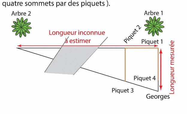 Schéma de la mesure entre les arbres Schéma vue de dessus : arbres 1 et 2, ravin, U en bois avec piquets 1 à 4 et Georges — exercice de maths en 2de sur Thalès