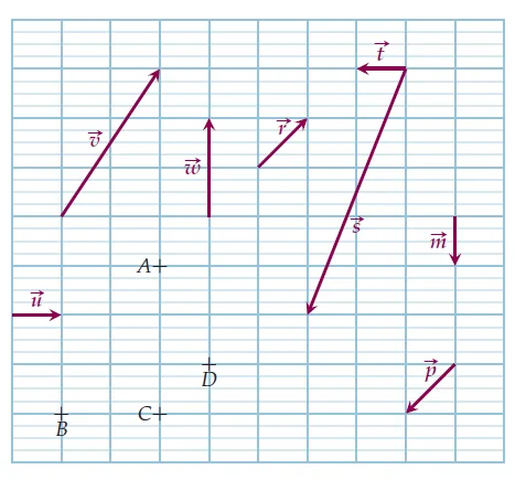 Vecteurs et points sur quadrillage Quadrillage avec les vecteurs u, v, w, r, t, s, m, p et les points A, B, C, D — exercice de maths en 2de sur les vecteurs égaux et opposés