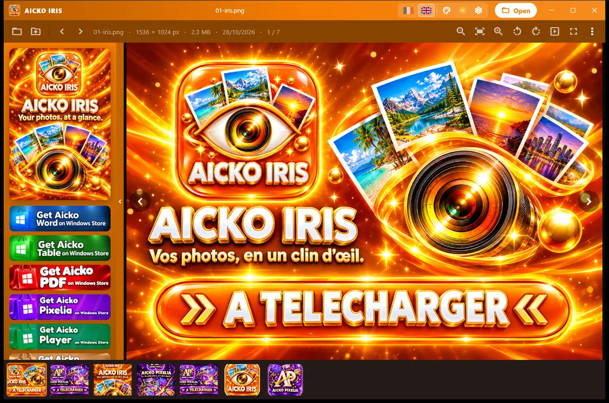 Screenshot of AICKO IRIS on a Windows computer (2)