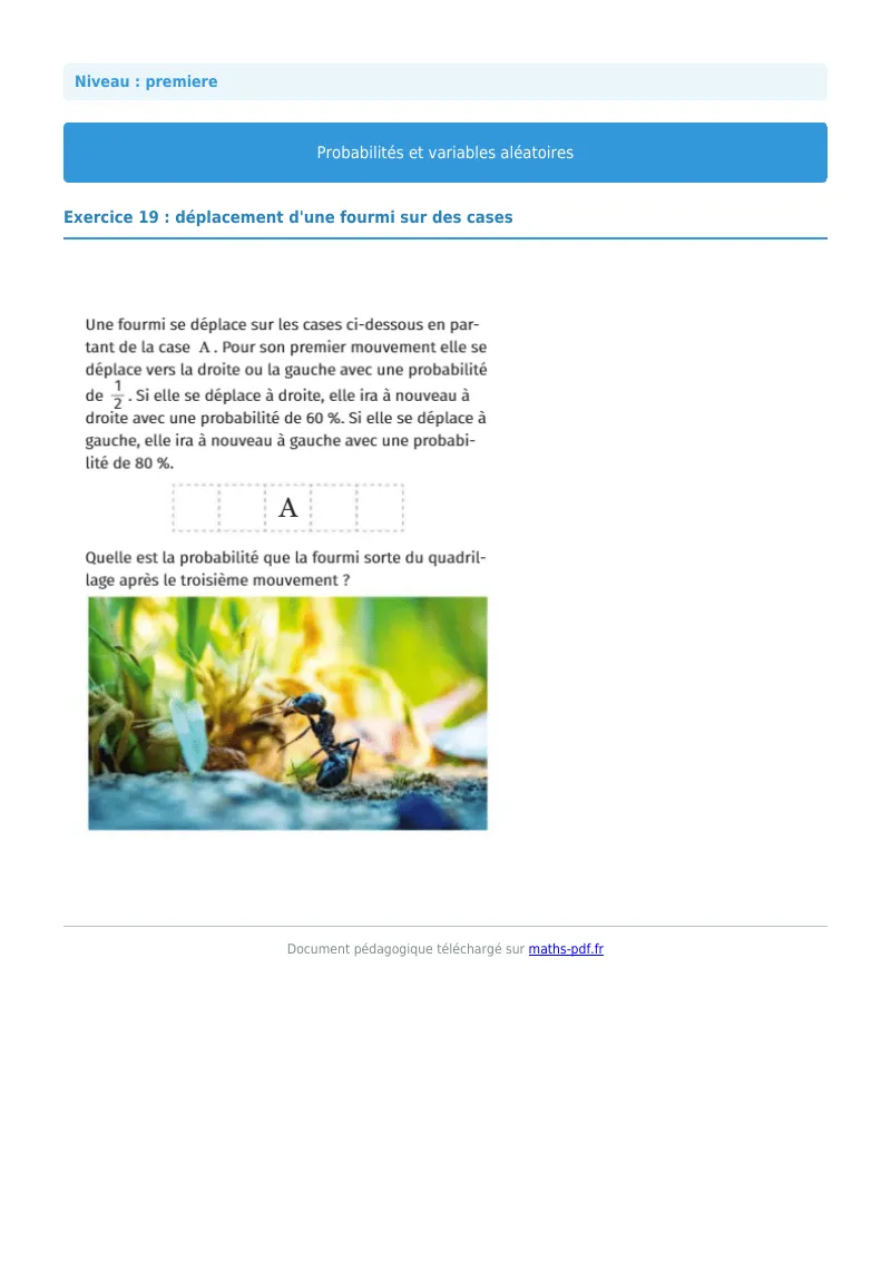 Probabilités et variables aléatoires : exercice n°19 de maths en première corrigé en PDF