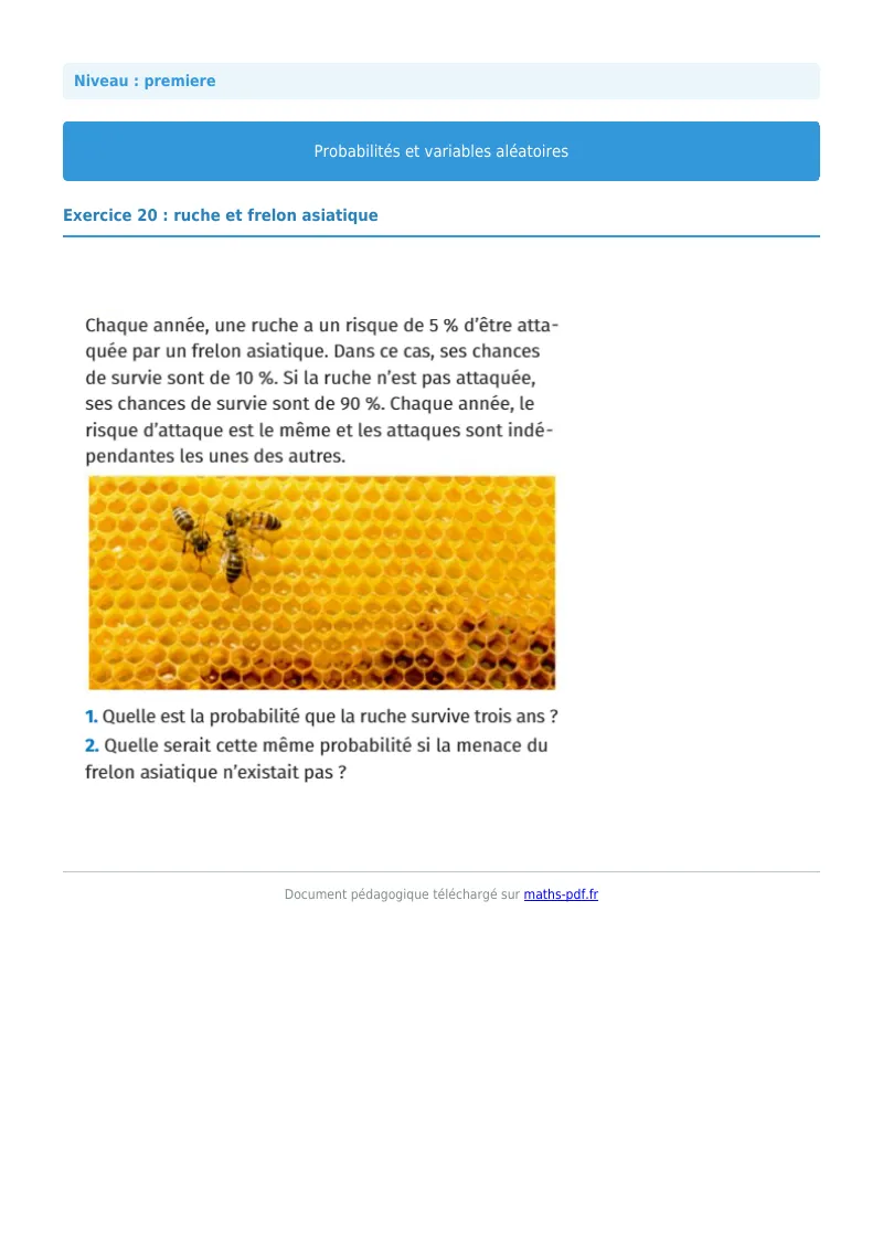 Probabilités et variables aléatoires : exercice n°20 de maths en première corrigé en PDF