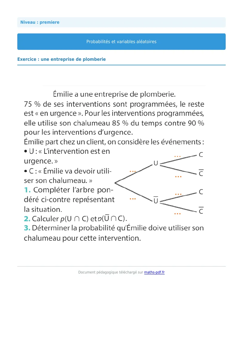 Probabilités et variables aléatoires : exercice n°33 de maths en première corrigé en PDF