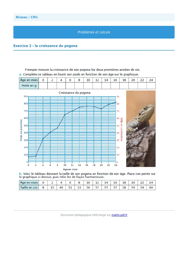 Problèmes et calculs : exercice n°2 de maths en CM1 corrigé en PDF