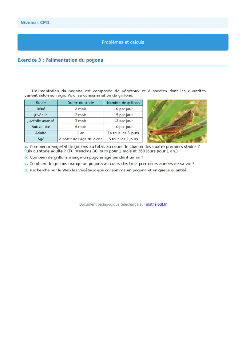 Problèmes et calculs : exercice n°3 de maths en CM1 corrigé en PDF
