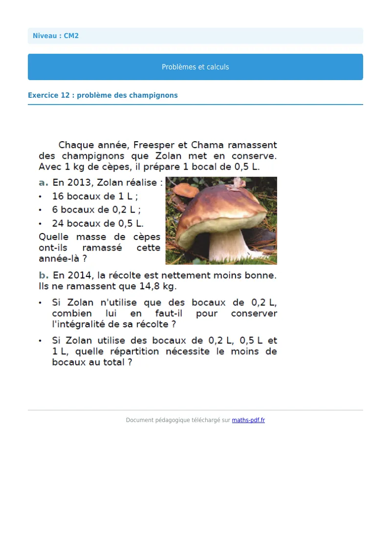 Problèmes et calculs : exercice n°12 de maths en CM2 corrigé en PDF