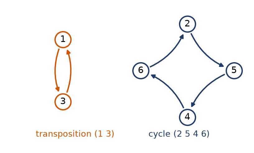 Les deux cycles disjoints de la permutation, une transposition entre 1 et 3 et un cycle de longueur 4