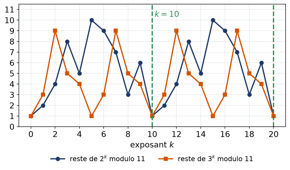 Restes des puissances de 2 et de 3 modulo 11 en fonction de l'exposant, avec une période 10 puis 5