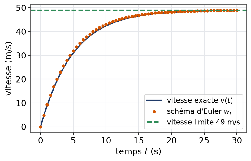 Vitesse exacte du parachutiste et points du schéma d'Euler qui la surestiment légèrement avant la vitesse limite