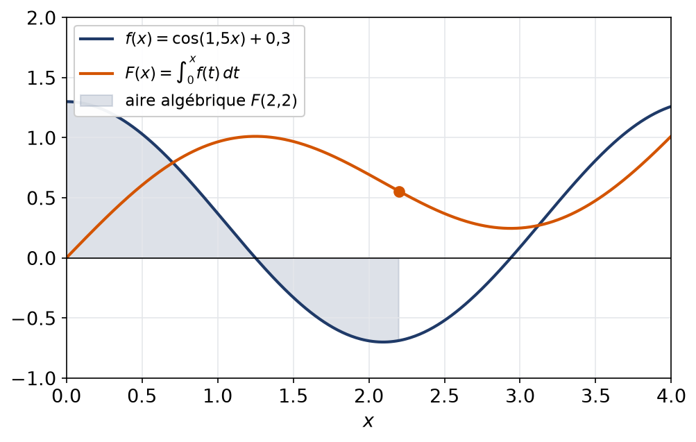 Courbe d'une fonction f et courbe de sa primitive F qui s'annule en 0, croissante là où f est positive