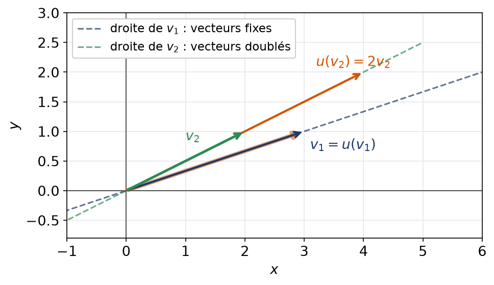 Les droites dirigées par v1 et v2, avec un vecteur fixé et un vecteur doublé par l'endomorphisme u