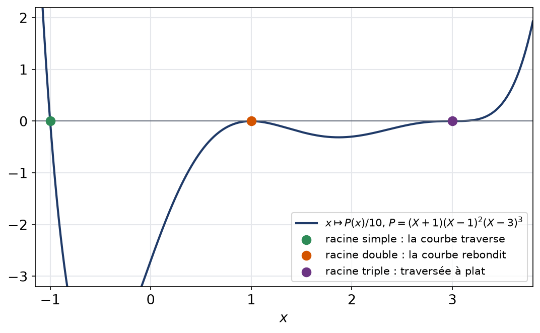 Courbe d'un polynôme réel avec une racine simple traversée, une racine double en rebond et une racine triple aplatie