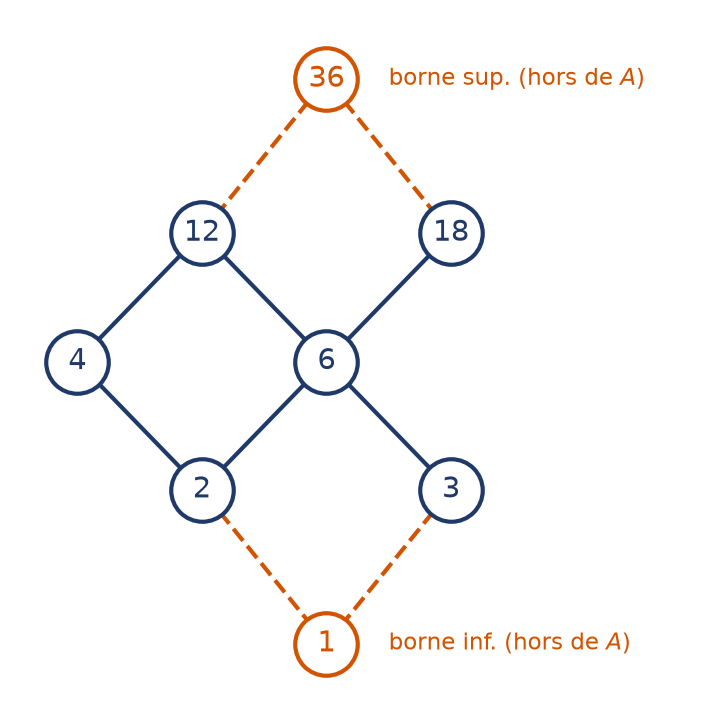 Diagramme de Hasse de la partie A pour la divisibilité, avec 36 au-dessus et 1 au-dessous en pointillés