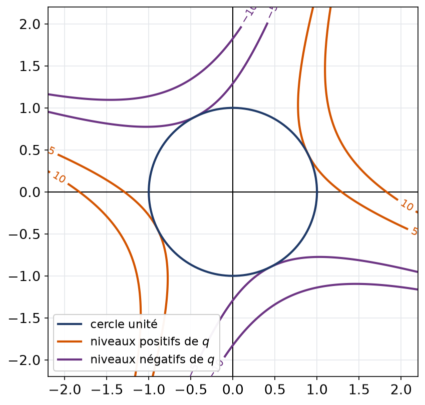 Lignes de niveau hyperboliques de la forme quadratique q et cercle unité sur lequel on cherche ses extremums