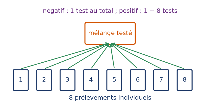 Schéma du dépistage groupé : huit prélèvements réunis dans un mélange testé une seule fois