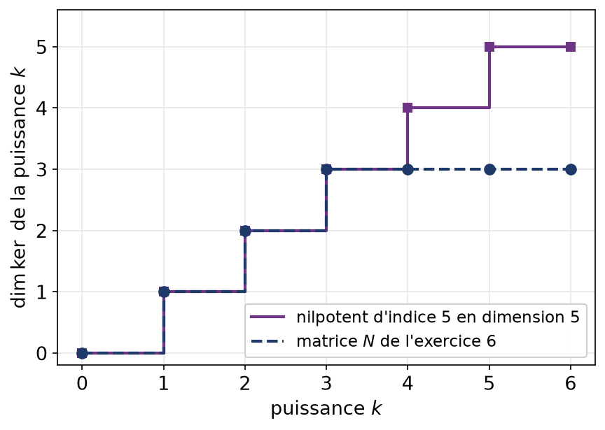 Dimensions des noyaux des puissances successives de N et d'un nilpotent de taille cinq, en escalier