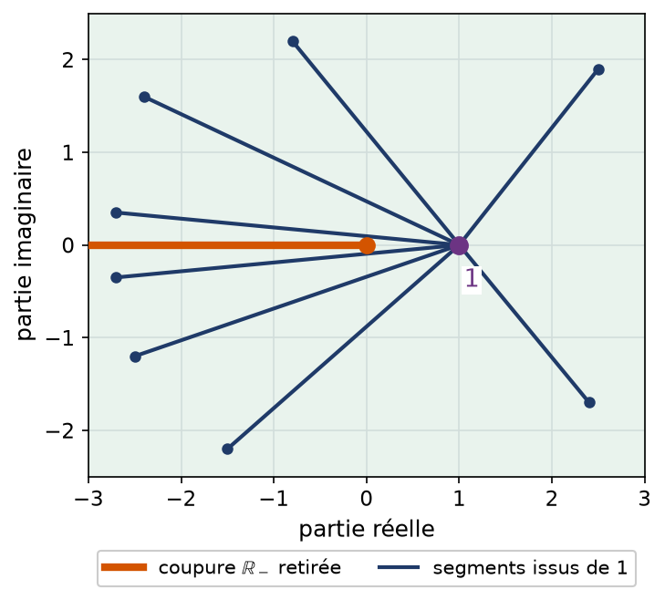 Plan coupé le long des réels négatifs, étoilé par rapport au point 1, avec plusieurs segments issus de 1