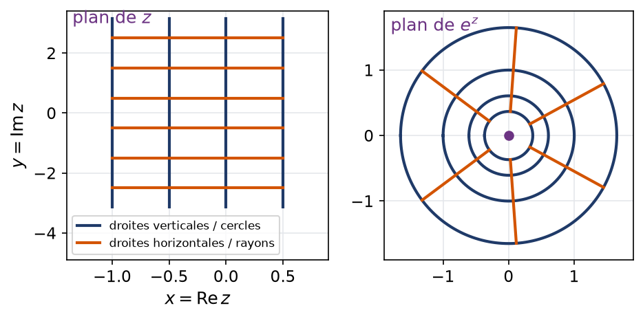 Image par l'exponentielle complexe d'un quadrillage : les verticales deviennent des cercles et les horizontales des demi-droites