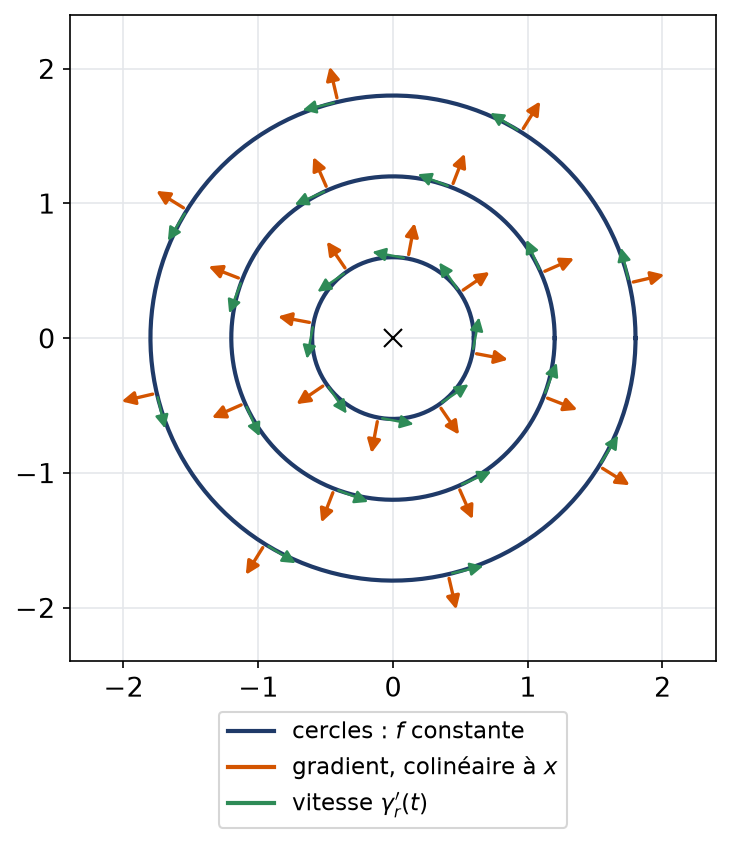 Cercles centrés en l'origine avec gradients radiaux et vitesses tangentes orthogonales entre eux