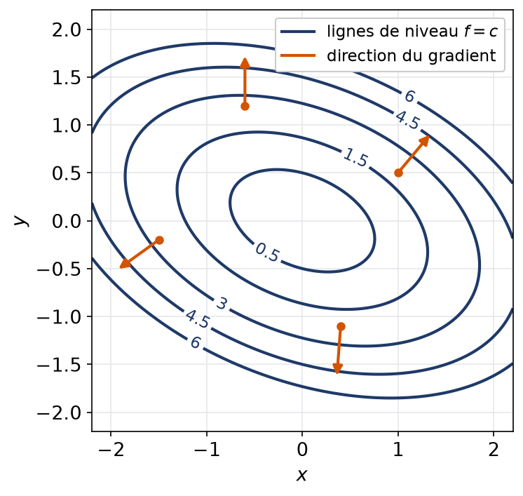 Lignes de niveau elliptiques d'une forme quadratique et flèches du gradient orthogonales à ces lignes