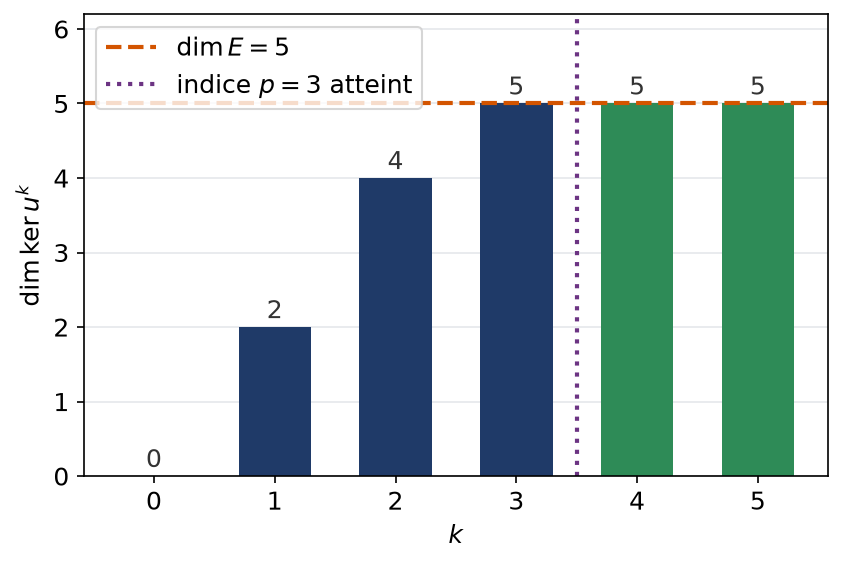 Dimensions des noyaux des puissances successives d'un endomorphisme nilpotent d'indice trois en dimension cinq