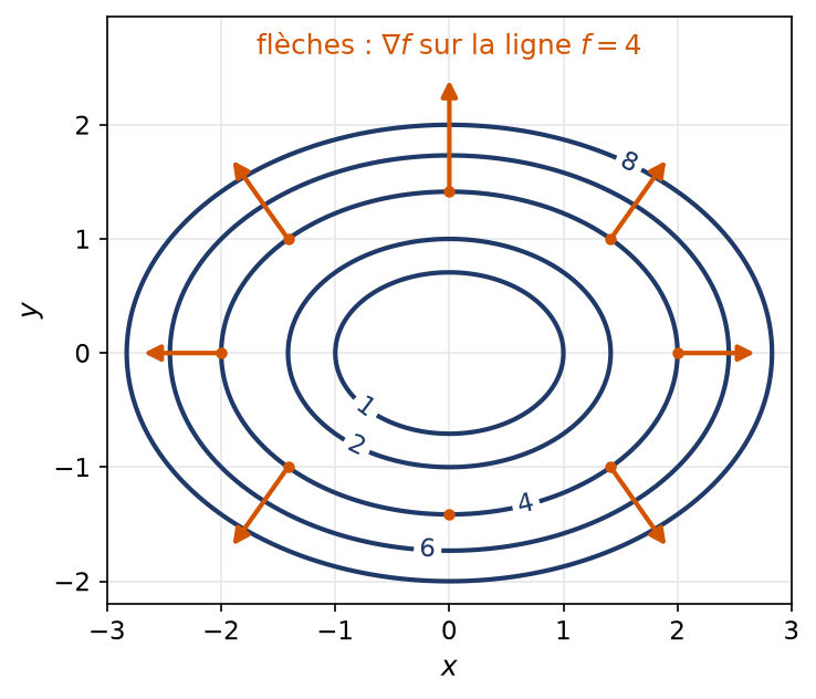 Lignes de niveau elliptiques d'une fonction avec des flèches de gradient perpendiculaires aux courbes