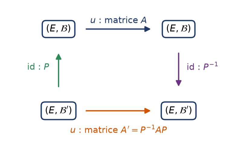Schéma du changement de base avec la matrice de passage et son inverse autour de la matrice de départ