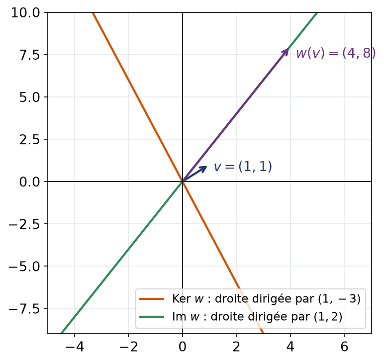 Noyau et image de l'endomorphisme w du plan, deux droites distinctes passant par l'origine