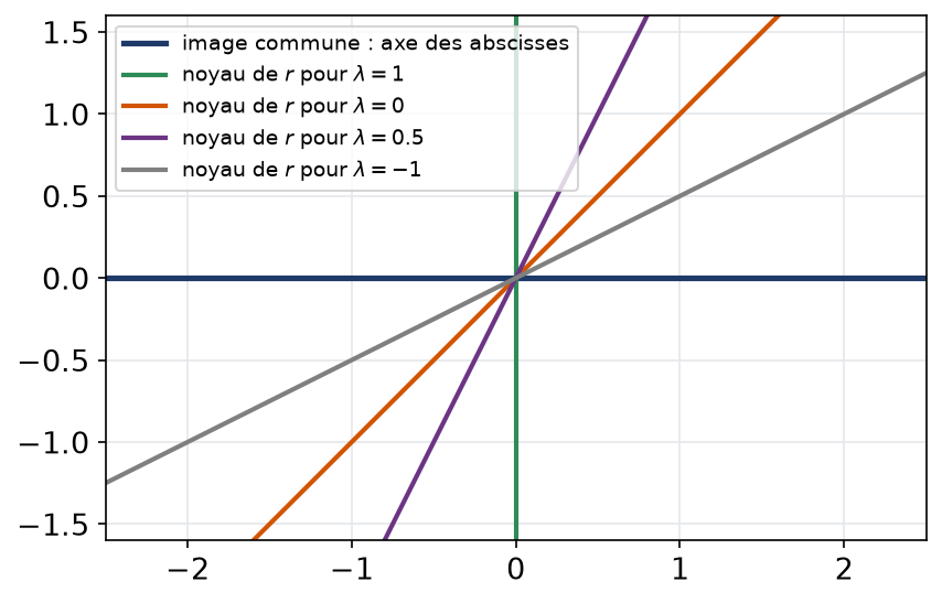 Axe des abscisses, image commune, et noyaux du projecteur r pour quatre valeurs du paramètre lambda